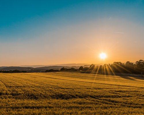 sunrise